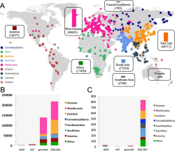发布全基因组单核苷酸变异数据库、涵盖近千个现存和古人族群